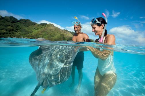 paul gauguin cruises cruise ship stingrays