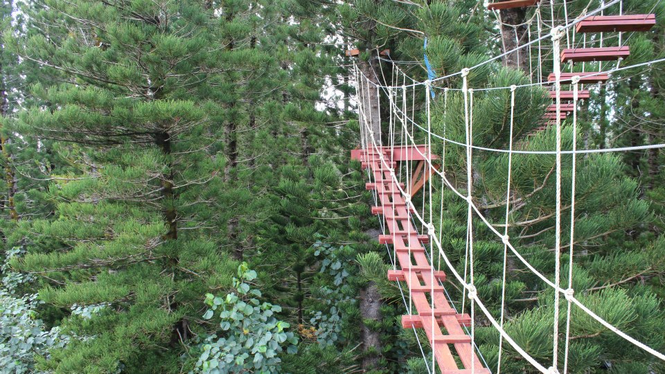 norwegian cruise line pride of america hawaii rope bridge
