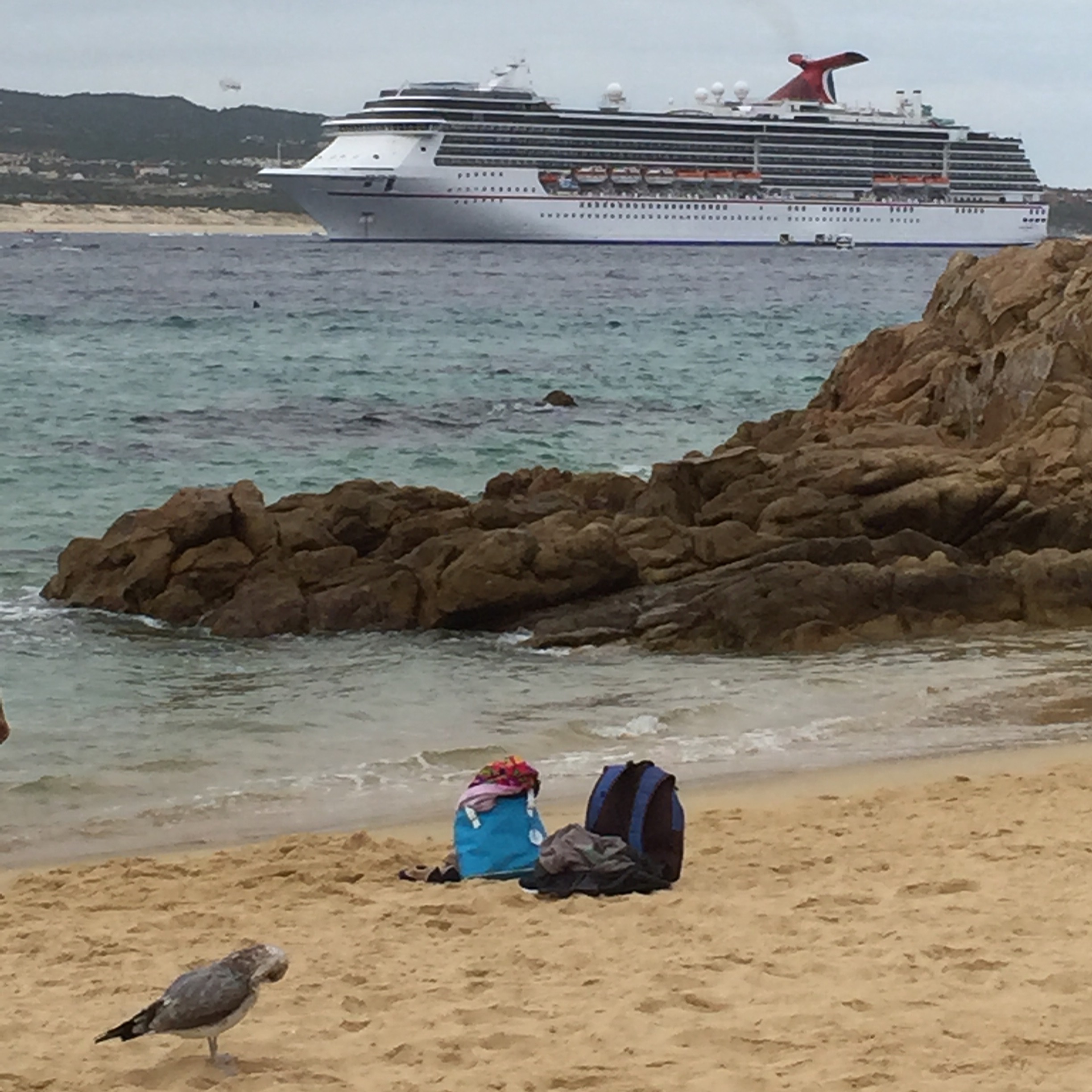 carnival cruises miracle mexican riviera