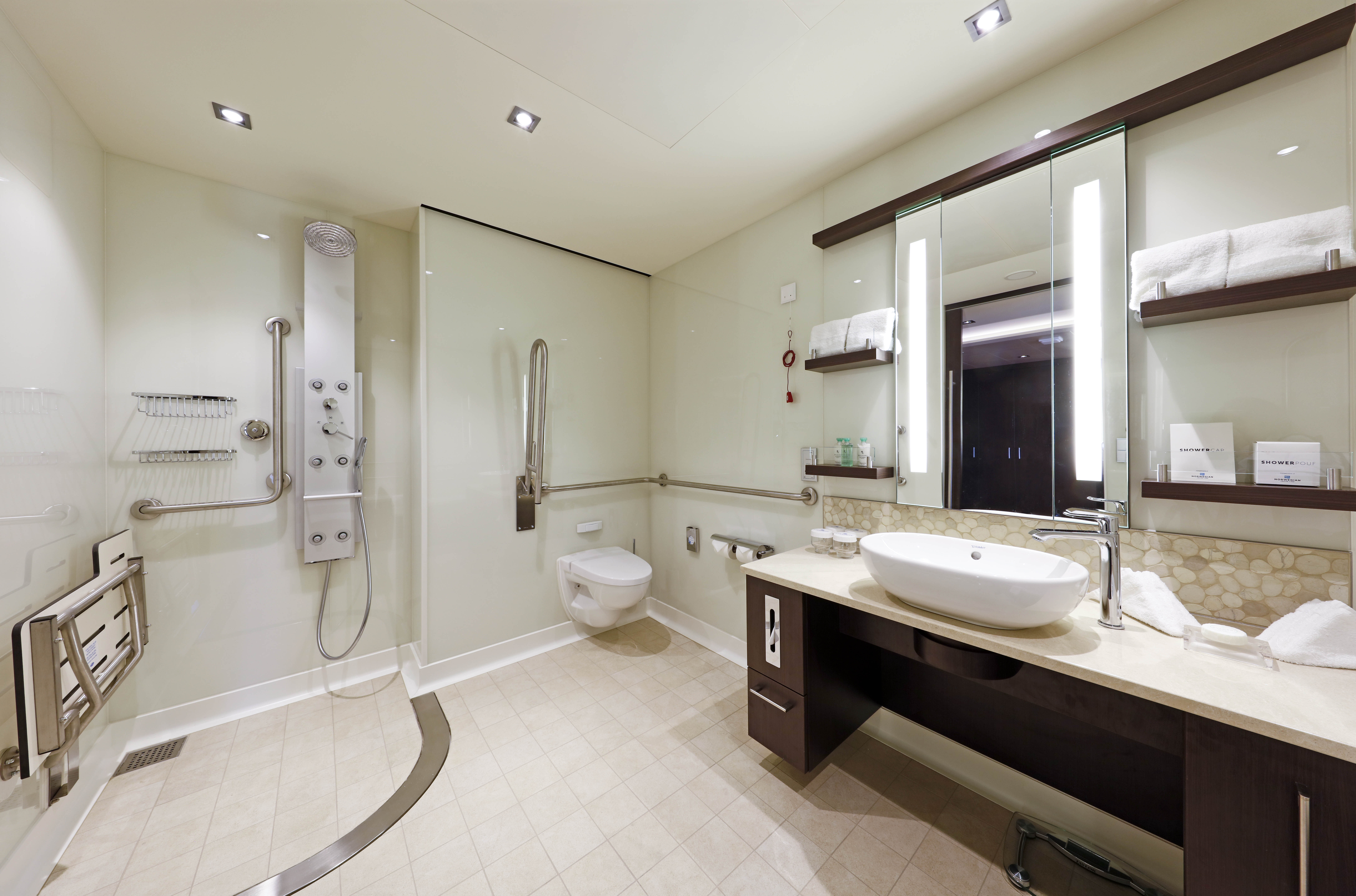 Norwegian cruises escape cruise ship courtyard cabin bathroom