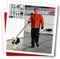 cunard cruises queen mary 2 dog walkers