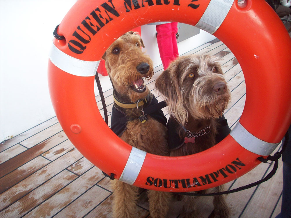 cunard dog cruises queen mary 2 ship