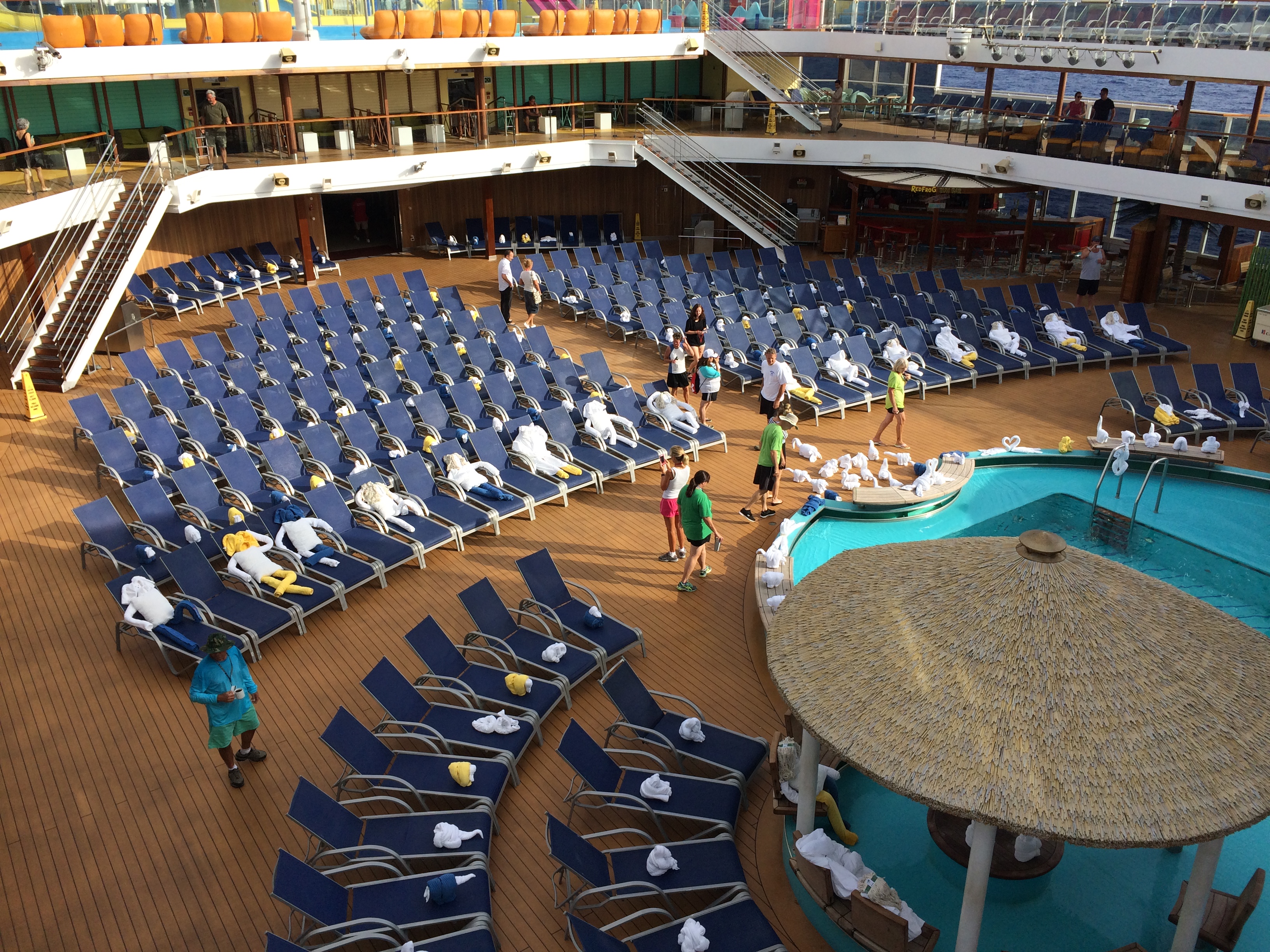 carnival cruises towel creatures