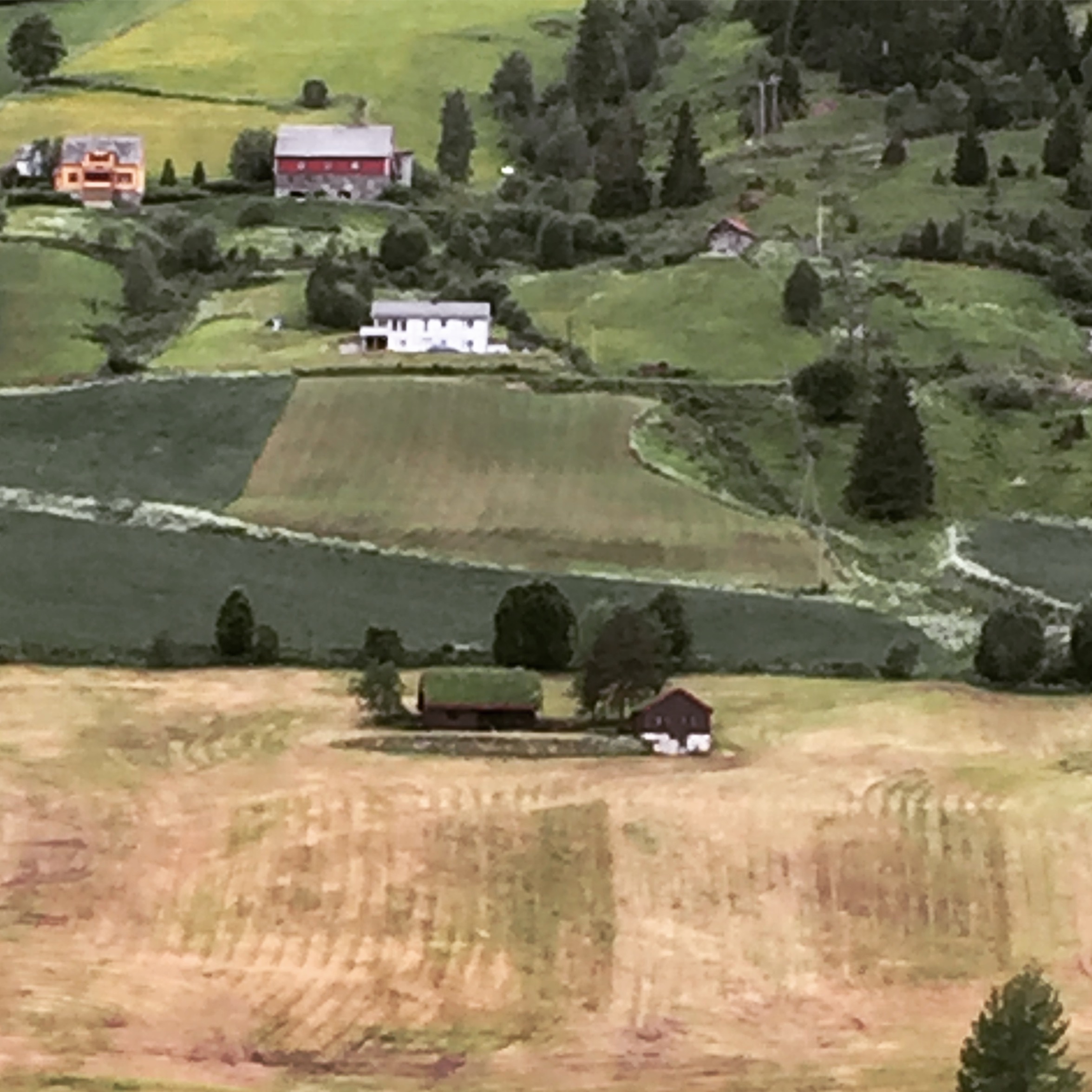 Norwegian cruises Jade cruise ship Norway farmland