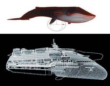 Peaceboat Ecoship cruises whale simularity