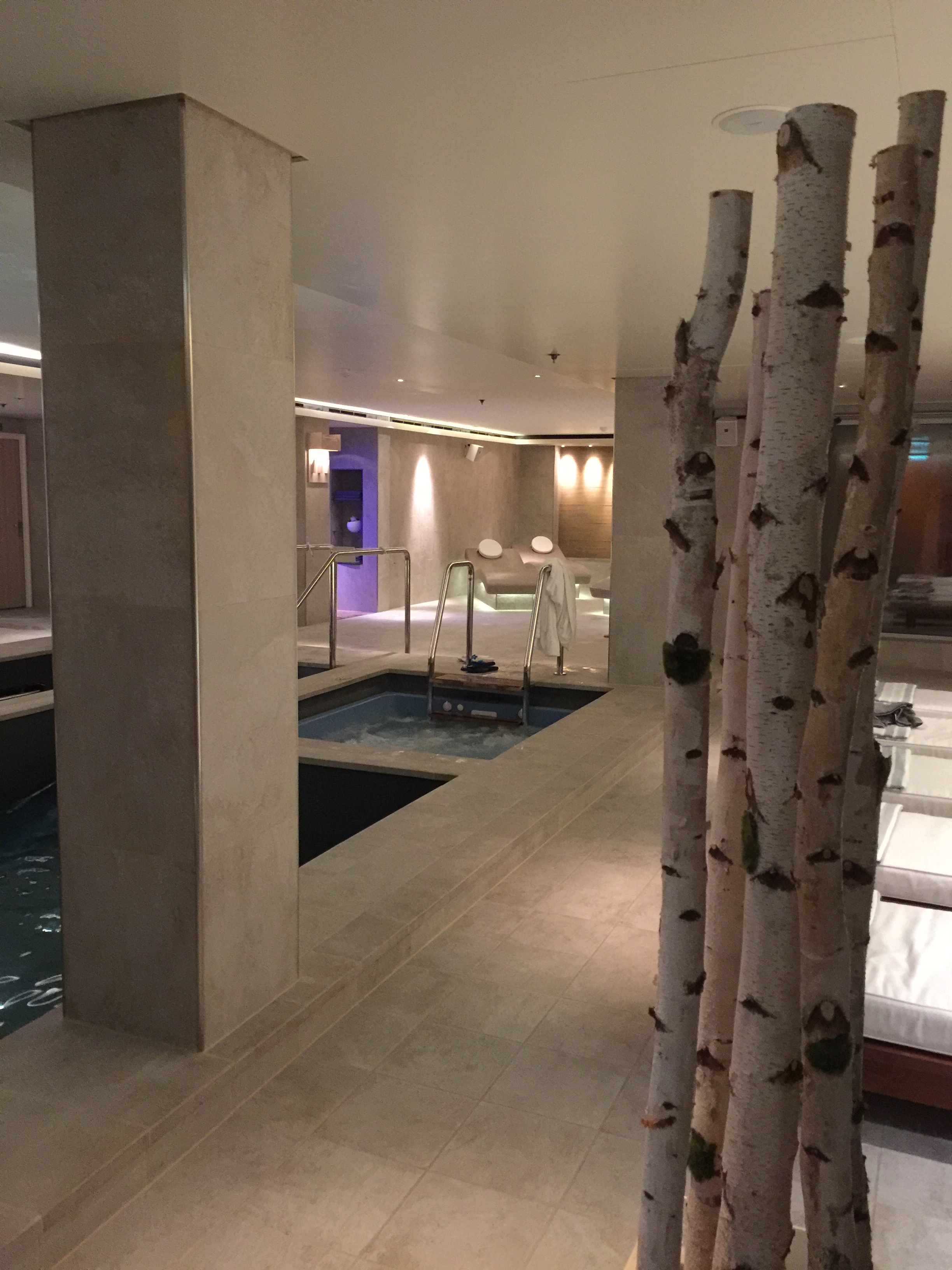 Viking cruises sky cruise ship spa hot tub