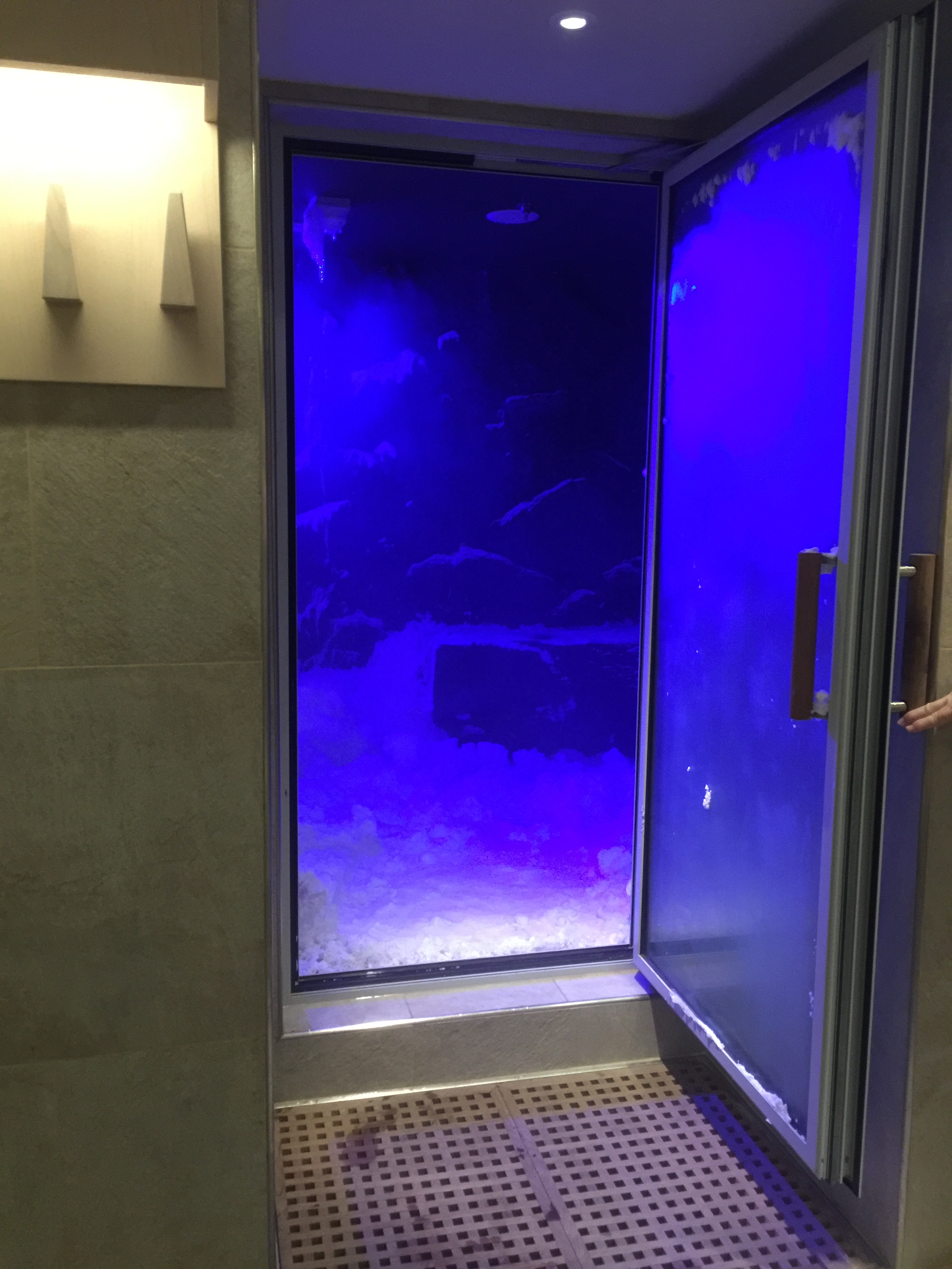 Viking cruises sky cruise ship snow grotto