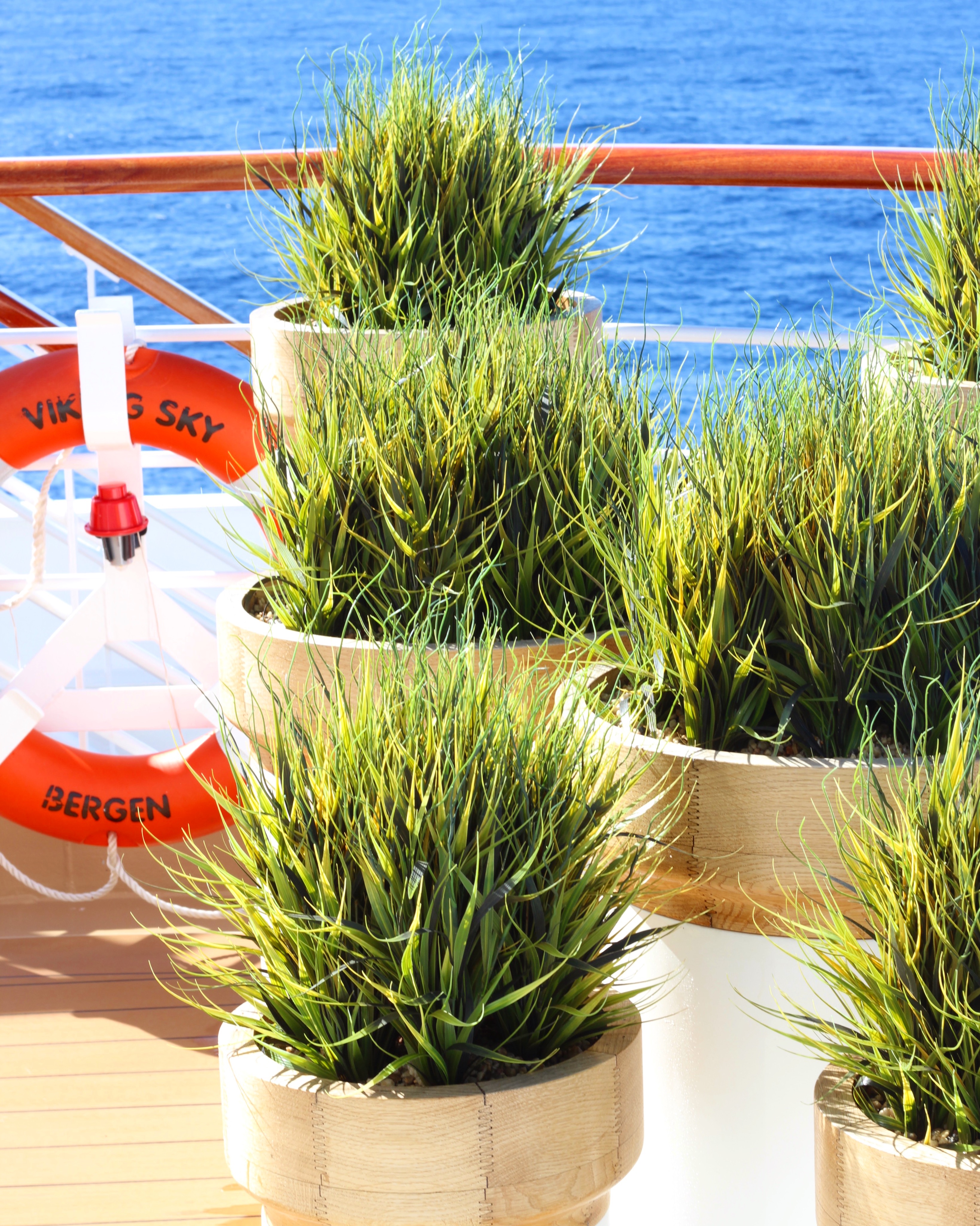 Viking cruises sky cruise ship potted plants