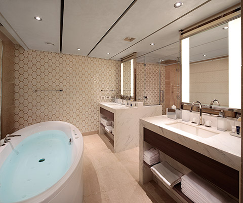 Holland America Nieuw Statendam cruise ship bathroom