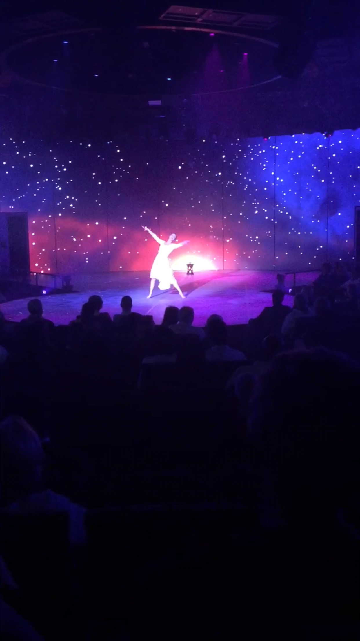 Holland America Statendam cruise ship show stage performance