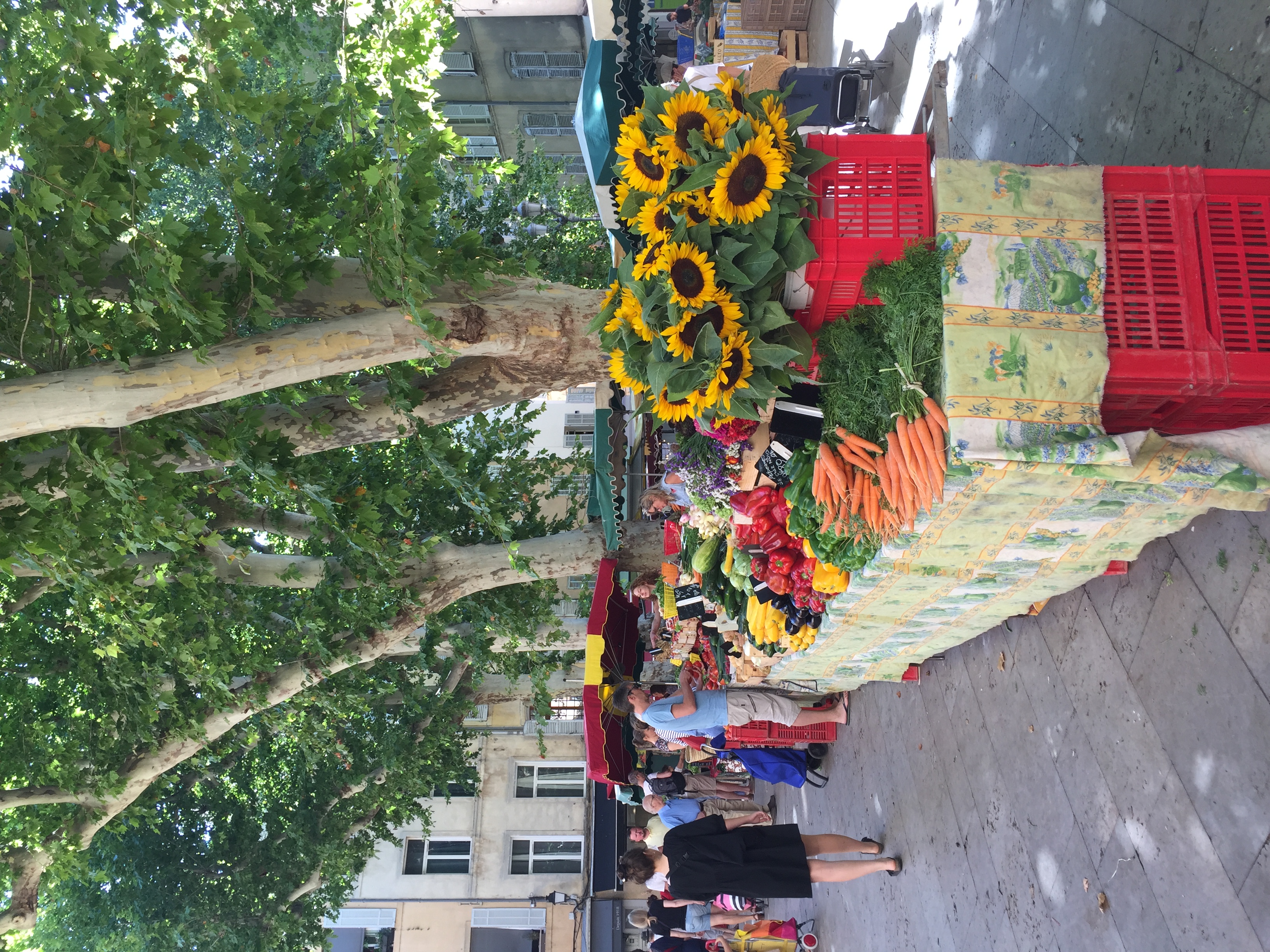 Aix en Provence France