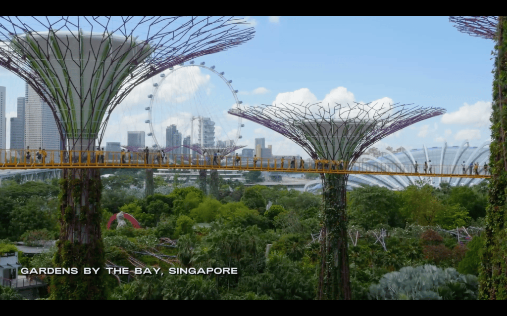 Fred Olsen Cruise Lines Singapore