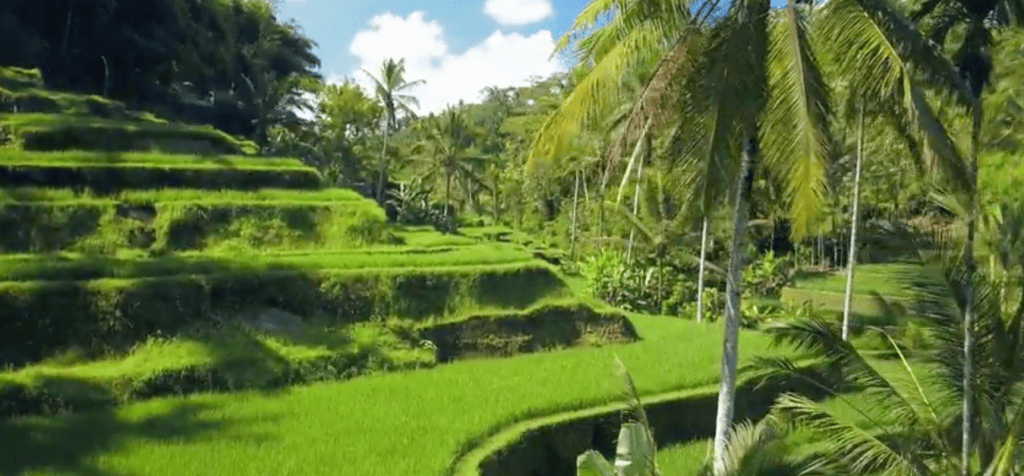 Silversea Cruises world cruises gardens