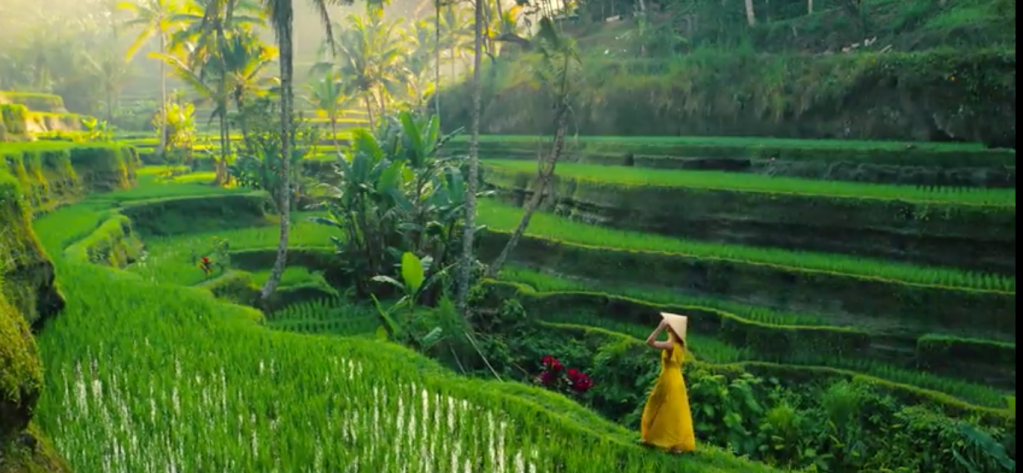 Silversea Cruises world cruises rice paddies