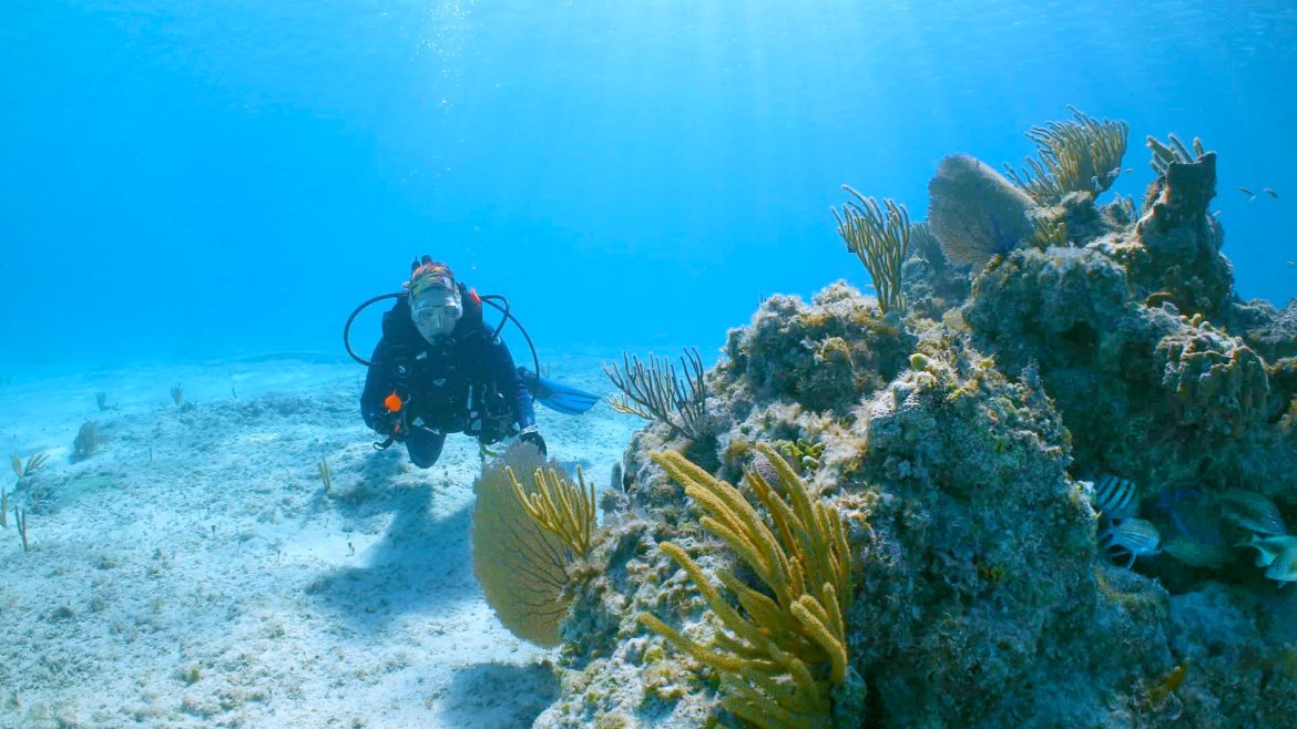 MSC Foundation to support Super Coral research at Ocean Cay island