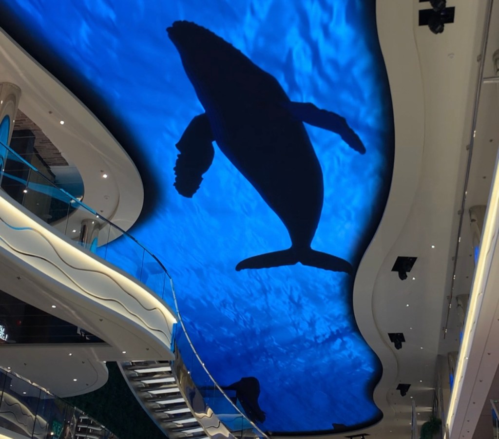 MSC World Europa Promenade DomeWhaleDT
